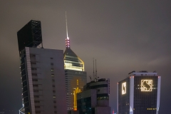 DSC01203.jpg
