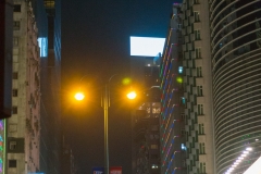 DSC01530.jpg