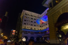 DSC01532.jpg