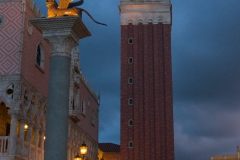 DSC09007.jpg