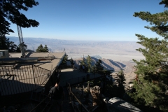 IMG_2897.jpg