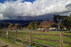 IMG_0658_44793.jpg