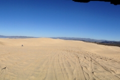 IMG_0707_44548.jpg