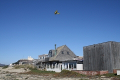 IMG_3915.jpg