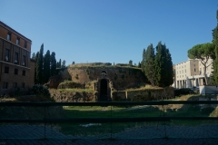 DSC04057_129973.jpg