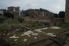 DSC04259_130175.jpg