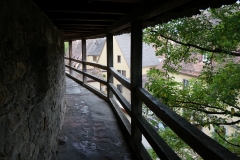 DSC03648.jpg