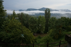 DSC03961_129880.jpg