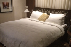 IMG_1580_135247.jpg