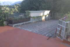 IMG_2060_120277.jpg
