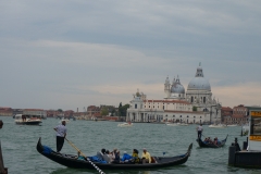 DSC03856_129779.jpg