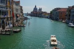 DSC03933_129853.jpg
