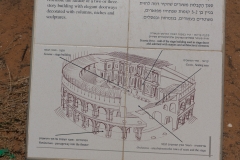 DSC07230.jpg