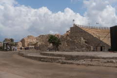 DSC07232.jpg