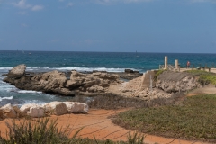 DSC07236.jpg