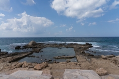 DSC07240.jpg