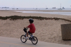 DSC00016_1072.jpg