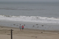 DSCN1911.jpg