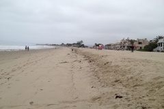 IMG_0117_33773.jpg