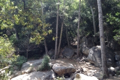 IMG_0118_33690.jpg
