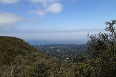 IMG_0120_33739.jpg
