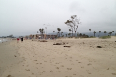 IMG_0161_33740.jpg
