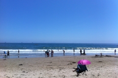 IMG_0266_52701.jpg