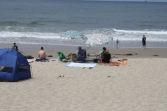 IMG_2515_31526.jpg