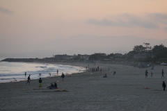DSC05353.jpg