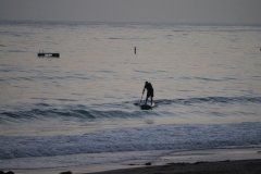 DSC05355.jpg