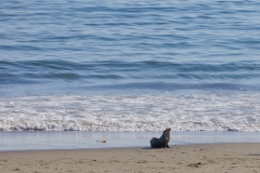 DSC05375.jpg