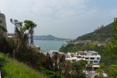 DSC01380.jpg