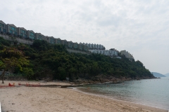 DSC01384.jpg
