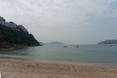 DSC01386.jpg