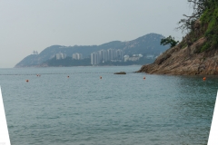 DSC01387.jpg