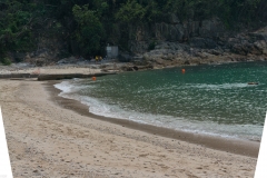 DSC01388.jpg