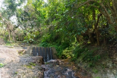 DSC01395.jpg