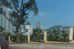 DSC01402.jpg