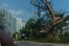 DSC01403.jpg