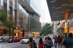 DSC01409.jpg