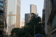 DSC01410.jpg