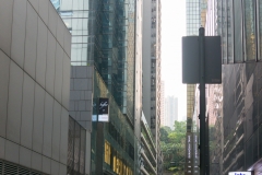DSC01411.jpg