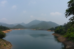 DSC01442.jpg