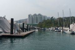 DSC01465.jpg
