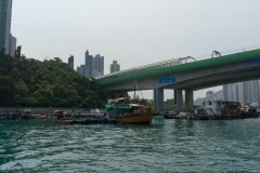 DSC01470.jpg