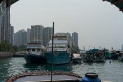 DSC01473.jpg