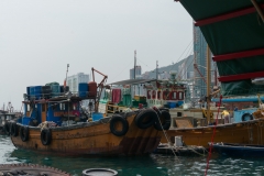 DSC01475.jpg