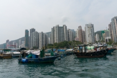 DSC01477.jpg
