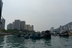 DSC01478.jpg