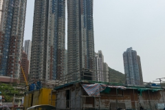 DSC01481.jpg